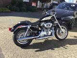 Harley-Davidson Sportster XL 1200 R - HARLEY-DAVIDSON 2004 1200 SPORTSTER