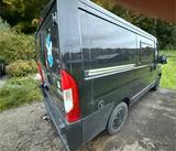 Peugeot Boxer - Peugeot Wohnmobil oder -wagen