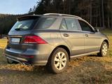 Mercedes-Benz GLE 250 d 4MATIC - - Mercedes-Benz GLE 250 Gebrauchtwagen