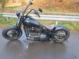 Harley-Davidson Softtail Crossbone FLSTSD - HARLEY-DAVIDSON FLSTS