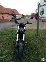 Benelli Leoncino 500 Modell 2023 - BENELLI MOTORRAD