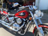 Suzuki VZ 800 in Top Zustand mit viel viel Extras - Offers matching your search criteria
