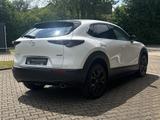 Mazda CX-30 Homura *Klimaautomatik*Rückfahrkamera* - Mazda CX-30 aus 2023