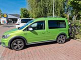 Volkswagen VW Caddy Beach Viperngrün sehr gute Aussta... - Volkswagen Caddy: Beach