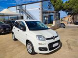 Fiat Panda 1.0 GSE S&S Hybrid Easy Van 4 posti - Fiat Panda EASY mit Hybrid-Antrieb (Benzin/Elektro)