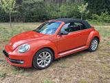 Volkswagen New Beetle Cabrio 1,4 - Volkswagen New Beetle mit Benzin-Antrieb: Cabrio, 1.4