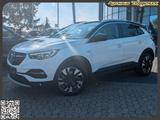 Opel Grandland(X) Innovation Temp. RFK. Navi. CarPlay - Opel Grandland (X) in Mainz