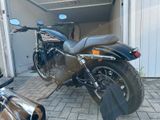Harley-Davidson XL883R - Offers matching your search criteria