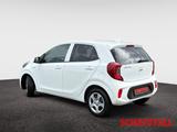 Kia Picanto Vision 1.0 Automatik Navi Kamera Sitzhei - Kia Picanto vision Gebrauchtwagen