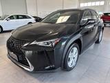 Lexus LEXUS UX Full Electric UX Hybrid Business - Lexus UX aus 2020