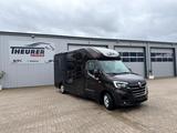 Renault Master STX Haras 5 Sitzer