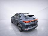 Cupra Formentor 2.0 TDI Kamera/ACC/KeyLess/LED/Navi - Cupra Formentor Diesel Gebrauchtwagen