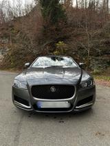 Jaguar XF 30d 300PS Prestige Virtual Cokpit TÜV Neu - Jaguar: X300