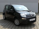Fiat Panda EASY 1.2 69PS KLIMA PDC DAB START&STOPP - Fiat Panda mit Benzin-Antrieb: Kleinwagen