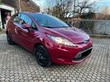 Ford Fiesta 1,25 60kW Trend  - Ford Fiesta aus 2009: 1.6