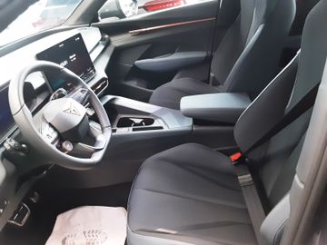 Cupra Terramar - 10