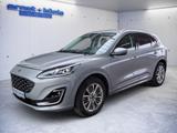 Ford Kuga 2.0 EcoBlue 4x4 Aut. VIGNALE AHK+LED+Winter - Ford Kuga Gebrauchtwagen in Freiburg