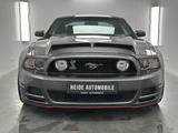 Ford Mustang 5.0 V8 Shelby 20 Zoll Gasanlage Pedders - gebrauchte Ford Mustang aus dem Jahr 2014