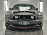 Ford Mustang 5.0 V8 Shelby 20 Zoll Gasanlage Pedders - Ford Mustang aus 2014