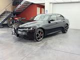 Alfa Romeo Giulia 2.0 Competizione Q4 Turbo Panoramadach - Alfa Romeo Giulia: 2.0
