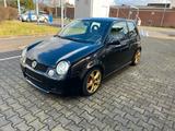 Volkswagen Lupo 1.6 GTI 125 PS Klimatronic Xenon Alu 16" - Volkswagen Lupo: Privatanbieter