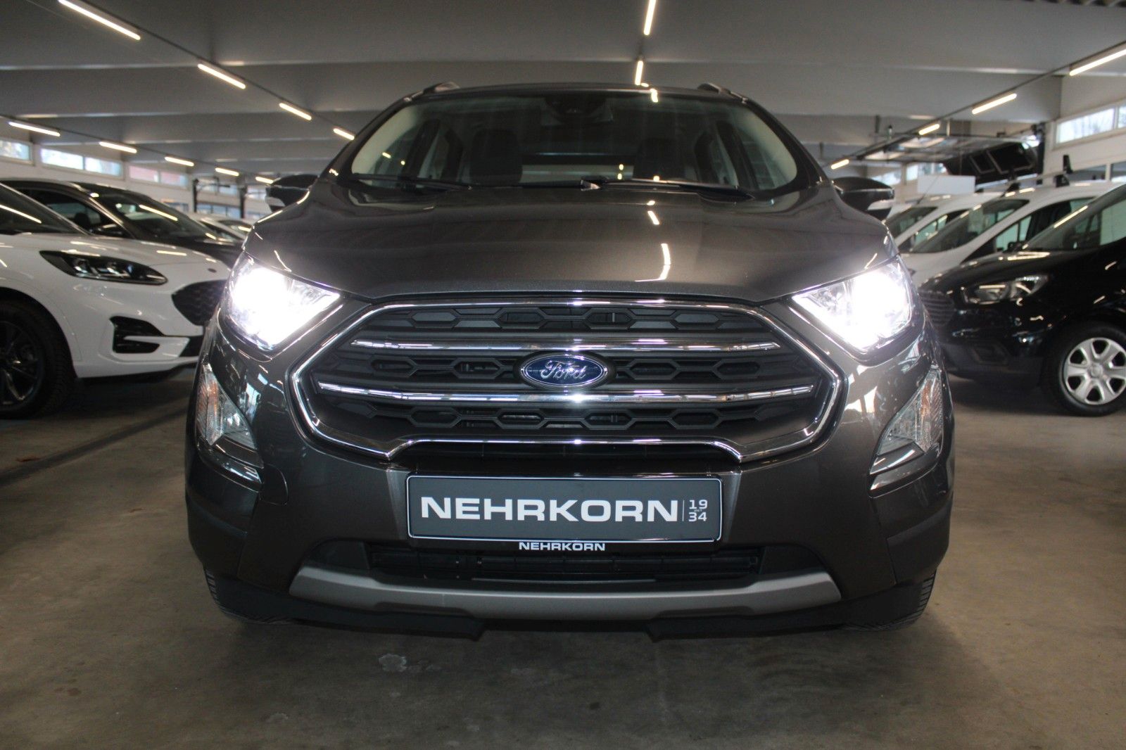 Fahrzeugabbildung Ford EcoSport Titanium LED B&O NAVI DAB Teilleder