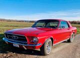 Ford Mustang - Bj 1967 - sucht neuen liebe... - Ford aus 1967