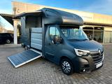 Renault Master MSG Pferdetransporter 3,5 t Stablehopper - Tier-/Pferdetransport 3 pferde