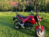 Honda MSX 125 - Offers