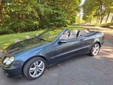 Mercedes-Benz CLK 320 CDI AVANTGARDE AVANTGARDE - Mercedes-Benz CLK 320 aus 2009