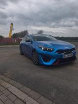 Kia pro_cee'd / ProCeed 1.6 T-GDI DCT GT GT - Kia pro cee'd / ProCeed aus 2022
