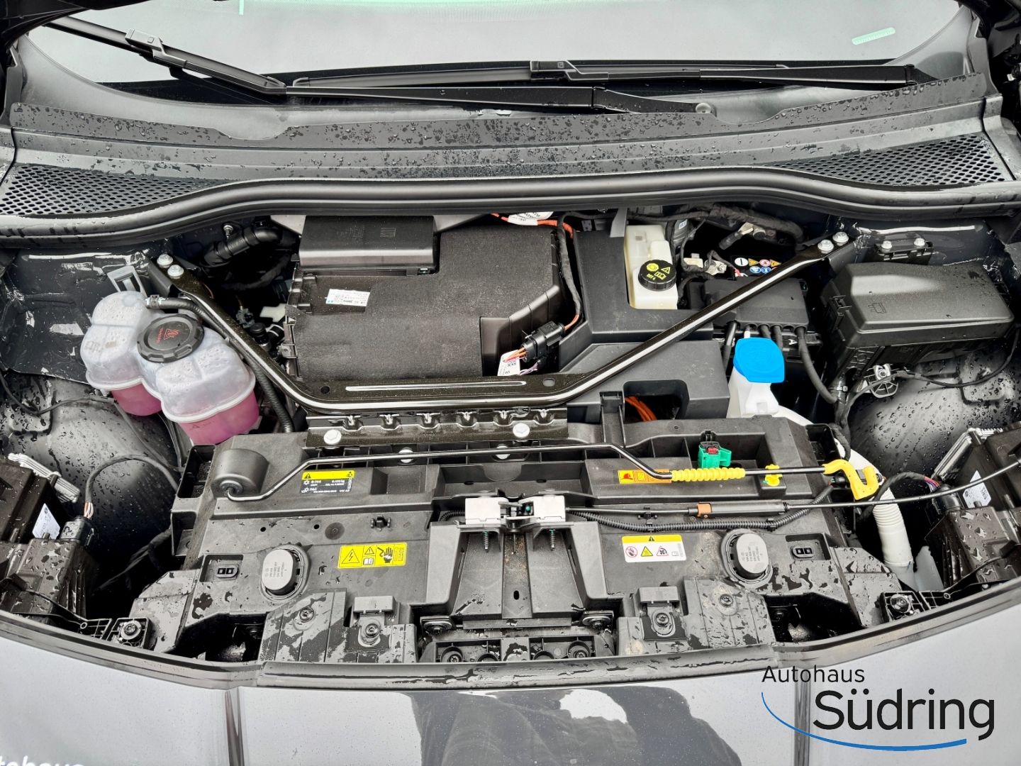 Tavascan Endurance 77kWh HUD Navi Sennheiser