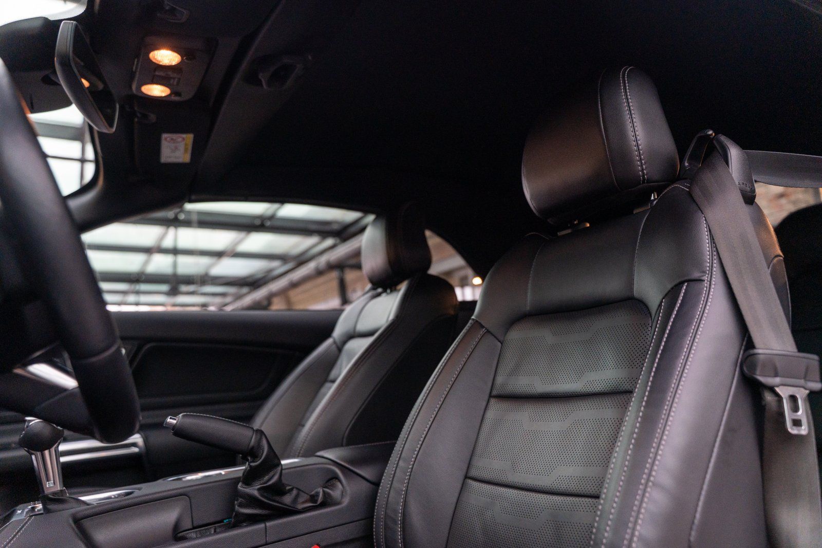 FORD Mustang (Mustang GT 5.0 Convertible COC/Navi/B&O/Sitzhzg)