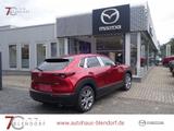 Mazda CX-30 Exclusive-Line 186 Automatik 2025|Navi|Mat - Mazda CX-30 mit Benzin-Antrieb: Exclusive Line
