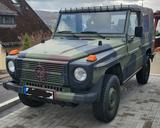 Mercedes-Benz WOLF 250 GD - Mercedes-Benz G-Klasse: Wolf