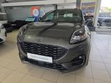 Ford Puma ST-Line Automatik Kamera LED Navi Allwetter - Ford in Hagen: Ka