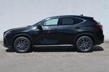 Lexus NX 450h+ E-FOUR Executive Line + Interieur Paket - Lexus: Allradantrieb