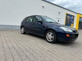 Ford Focus 1.6 - 16V - Ford Focus: 16v