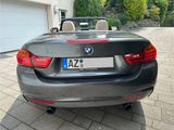 BMW 435i Cabrio M Sportpaket ohne OPF, Akrapovic,AHK - BMW: Akrapovic