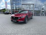 Mazda CX-30 2.0 (186PS) Autom. Selection AWD DES-P PRE - mit Benzin-Antrieb: Auto