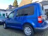 Volkswagen Caddy 1,2TSI 63kW Roncalli Startline 5-Sitze... - Volkswagen Caddy: Startline