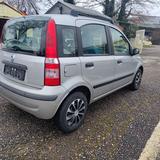 Fiat Panda 1.2 8V Dynamic - Autos mit Allradantrieb bis 2.500 Euro