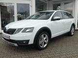 Skoda Octavia Scout 4x4 Autom. ACC PDC Navi Laneassist - Skoda Octavia: Allradantrieb, Scout