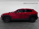 Mazda CX-30 2.0 Skyactiv-G Hybrid Selection SHZ|TEMP - Mazda CX-30 Gebrauchtwagen