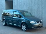 Volkswagen Caddy 1.6 Maxi Life Tramper *AHK*TÜV 01-2027* - Volkswagen Caddy: Tramper
