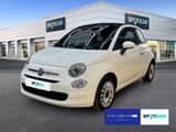 Fiat 500 Cabrio Club Mildhybrid Klima,PDC,GJR - Fiat 500 aus 2023