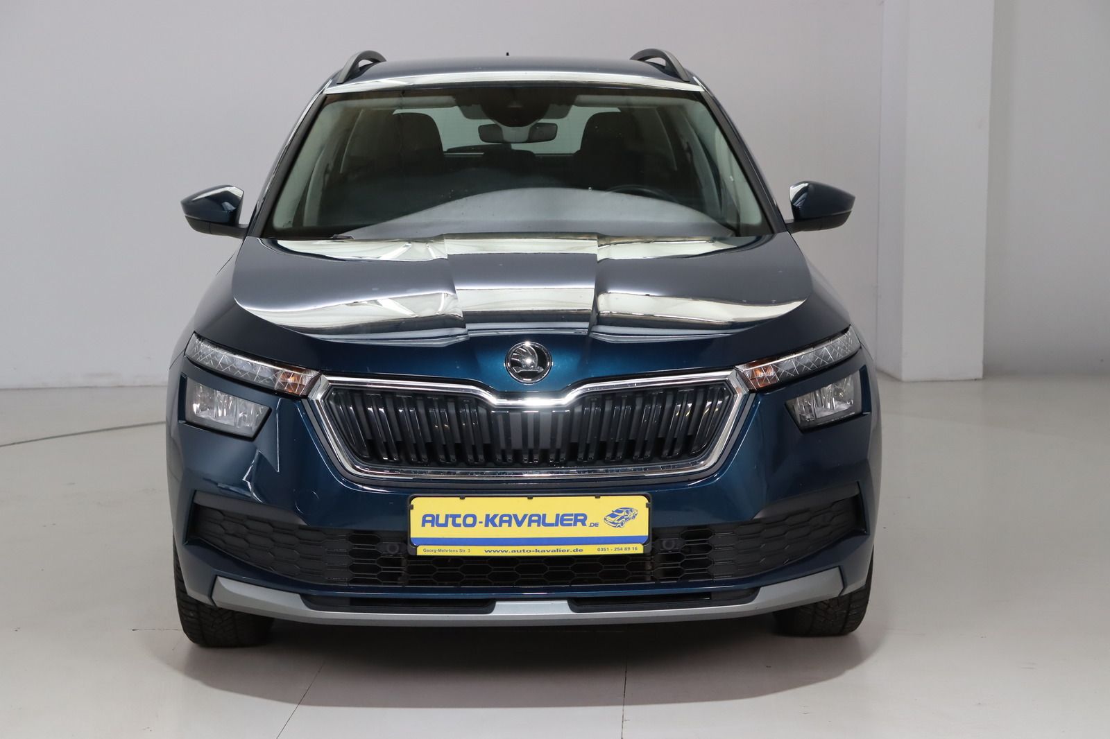 Fahrzeugabbildung SKODA Kamiq 1.0 TSI G- tec * CNG