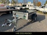 Unsinn UT 2111-10-13, 2100x1100 mm, 1000 kg, 100 km/h