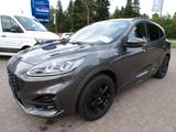 Ford Kuga 2.0 EcoBlue ST-Line X AHK/B&O/4x4 - Ford Kuga mit Diesel-Antrieb: Grau