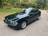 BMW 530i A E39 Oxfordgrün - BMW 530 aus 2000: 530i